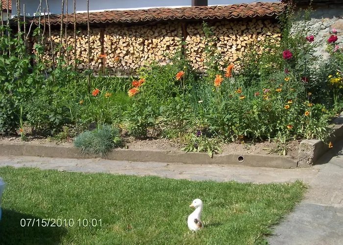 янко кехая בית הארחה קופריבשטיצה